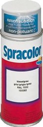 HAGER SPUITBUS LAK RAL9010 INHOUD 150 ML