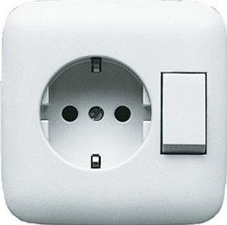 ABB BUSCH JAEGER COMBINATIE RA WISSEL VOLLEPLAAT INBOUW R-ALPIN 2CKA001611A0169