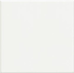 LEGRAND AXOLUTE WHITE BLINDPLAAT 2 MODULES