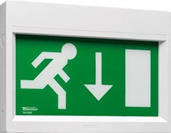 FAMOSTAR GO! WP-230 NOODVERLICHTING WANDOPBOUW 0.7W 25M LEESAFSTAND ZONDER PICTOGRAM KUNSTSTOF IP40 HXBXL 205X35X290MM 391863