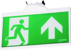 FAMOSTAR GO! IPP-230 NOODVERLICHTING INBOUW 25M LEESAFSTAND ZONDER PICTOGRAM KUNSTSTOF IP40 HXBXL 146X12X261MM 391604