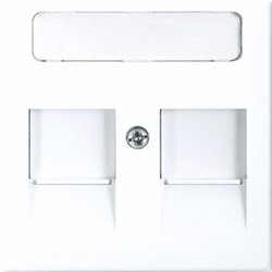 ABB BUSCH JAEGER BALANCE SI CENTRAALPLAAT MET TEKSTVELD 41-5X10MM 2 MODULAR JACK CONNECTORS MET SCHUIFJE ALPINWIT 2CKA001753A0229