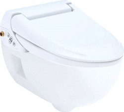 GEBERIT AQUACLEAN 4000PLUS DOUCHEWC WAND MET CLOSET MODEL 1 WIT 146135111