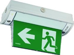 FAMOSTAR PRO PP-24 NOODVERLICHTING PLAFONDOPBOUW 25M LEESAFSTAND ZONDER PICTOGRAM KUNSTSTOF IP65 HXBXL 210X163X351MM 393062