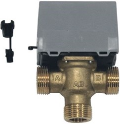 VAILLANT DRIEWEGKLEPAFSLUITER 009462