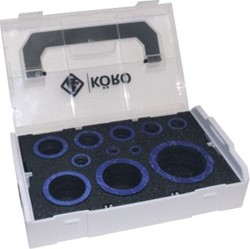 BEER RINGEN DIVERS 198 A 18X 156353001 B 18X 157418001 173160001