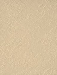 VILLEROY & BOCH EXCELLO DOUCHEVLOER ULTRACORE RECHTHOEK 900X800X40 MM ACRYL NATUUR ZAND UDA9080EXC2V-4N