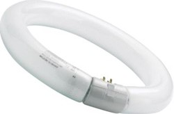 SYLVANIA CIRCLINE TL T9 32W 860 6000K G10Q