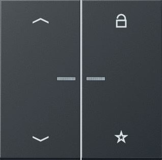 JUNG BEDIENINGSELEMENT 2-TOETS-AFDEKKING LED INDICATIE VOOR DIMMER VOOR JALOEZIESCHAKELAAR GELAKT ALUMINIUM MAT ANTRACIET FMAL1701PAN