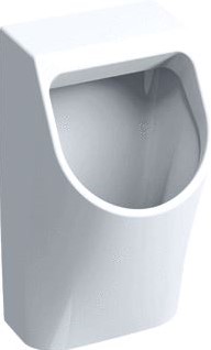 GEBERIT 300 URINOIRS URINOIR ACHTERINLAAT AFVOER ACHTER 580 X 325 X 300MM (HXBXD) WIT S8602500000G