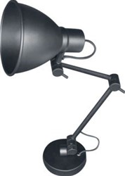 LOOOX LIGHT TWIST DUO INCLUSIEF LAMP 4W LED WARM WIT FITTING E27 RVS MAT ZWART LTWISTDUO