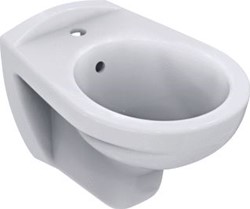 IDEAL STANDARD EUROVIT WANDBIDET MET KRAANGAT WIT V493101