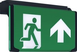 FAMOSTAR D-SIGN NOODVERLICHTING 0,8W 230V 1U 23M LEESAFSTAND WAND-/PLAFOND KUNSTSTOF IP40 HXBXL 160X75X272MM ZWART RAL9005 393832