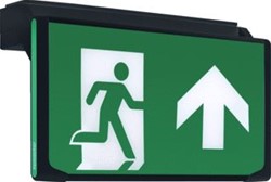 FAMOSTAR D-SIGN NOODVERLICHTING 0,8W 230V 1U 23M LEESAFSTAND WAND-/PLAFOND KUNSTSTOF IP40 HXBXL 160X75X272MM ZWART RAL9005 393847