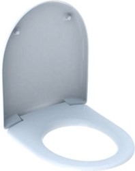 GEBERIT RENOVA CLOSETZITTING MET DEKSEL SOFTCLOSE DUROPLAST PERGAMON (MONTAGE VAN BOVENAF) 573025068