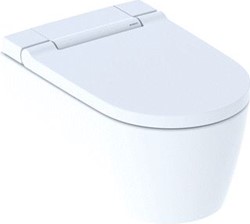 GEBERIT AQUACLEAN SELA TOILETSYSTEEM WAND-WC: ALPIEN WIT / MAT 146.220.JT.1