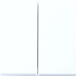 ABB BUSCH JAEGER BED.ELM / CENTR.PL SCHAKELMAT BALANCE SI 2CKA006730A0152
