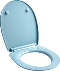 WIRQUIN CLOSETZITTING GROEN MET DEKSEL SOFTCLOSE VOOR UNIVERSELE TOILETPOT SCHARNIERPOOT/ROZET RVS/KUNSTSTOF AFNEEMBAAR VOOR REINIGING ZITTING/DEKSEL THERMOPLAST SCHARNIERBLADEN KUNSTST 20724243