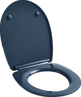 WIRQUIN CLOSETZITTING GRIJS MET DEKSEL SOFTCLOSE VOOR UNIVERSELE TOILETPOT SCHARNIERPOOT/ROZET RVS/KUNSTSTOF AFNEEMBAAR VOOR REINIGING ZITTING/DEKSEL THERMOPLAST SCHARNIERBLADEN KUNSTST 20724245