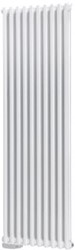 RADSON ELEKTRISCHE RADIATOR DELTA V 2000X550 2000WATT 3632020