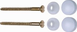 FISI BEVESTIGINGSSCHROEF MES 100MM WT SE2