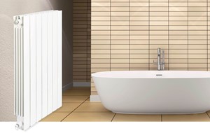 DRL VIP Extreme Radiator: Luxe, Energiezuinige Verwarming met een Stijlvol en Modern Design