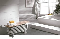 DRL Multicolumn Ledenradiator