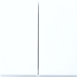 Abb Busch-Jaeger Balance