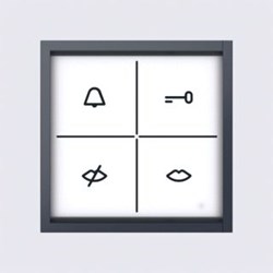 Siedle Camera