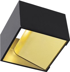 SLV