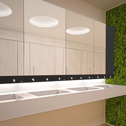 DELABIE SPIEGELKAST MET 4 FUNCTIES SPIEGEL, HANDENDROGER, ELEKTRONISCHE ZEEPVERDELER EN KRAAN  510203
