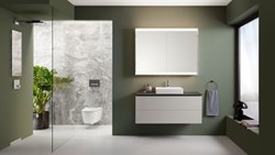 Geberit one